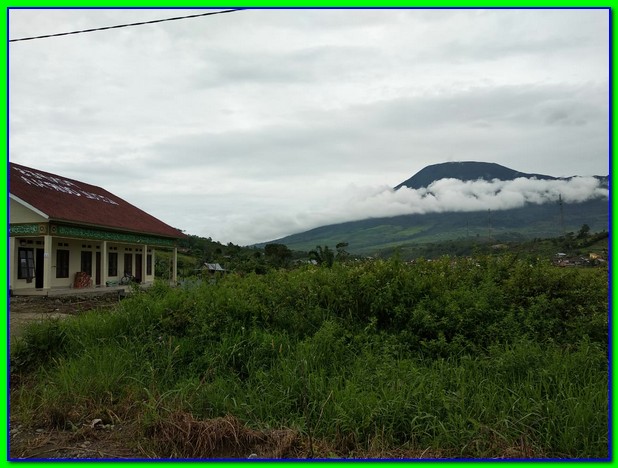 pondok pesantren pagar alam