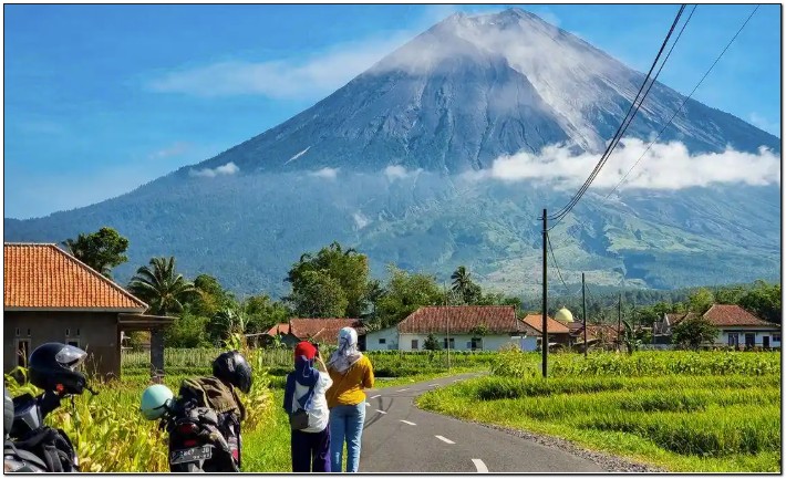 SD Islam Terbaik di Lumajang